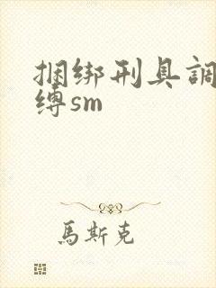 捆绑刑具调教束缚sm封面