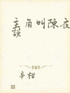主角叫陈夜的小说