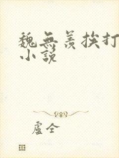 魏无羡挨打训诫小说封面