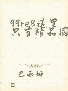 99re8这里只有精品国产av封面