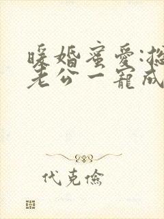 暖婚蜜爱:总裁老公一宠成瘾小说