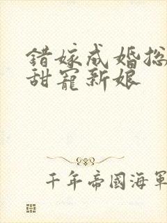 错嫁成婚总裁的甜宠新娘
