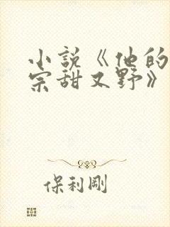 小说《他的小祖宗甜又野》