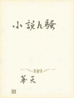 小说h骚封面