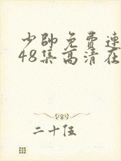 少帅免费连续剧48集高清在线观看