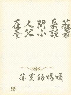 在人间采薇阿铭养父小说最新章节