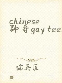 chinese帅哥gay teen