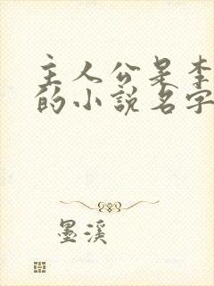 主人公是李初年的小说名字封面