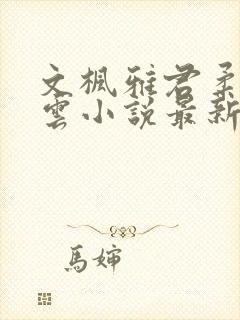 文枫雅君柔佳素云小说最新章节