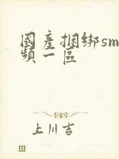 国产捆绑sm视频一区