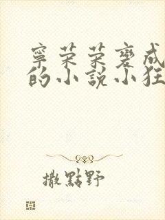宁荣荣变成荣奴的小说小狂封面