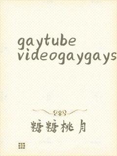 gaytubevideogaygaysex