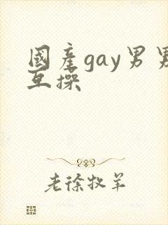 国产gay男男互操
