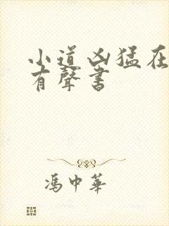 小道凶猛在线听有声书