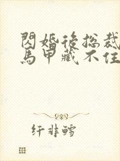 闪婚后总裁夫妇马甲藏不住演员表