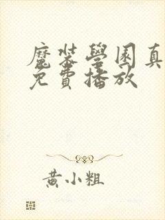 魔装学园真人版免费播放