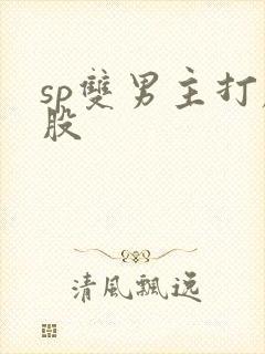 sp双男主打屁股