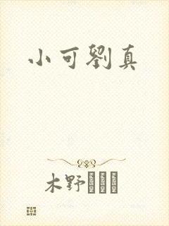 小可刘真封面