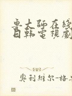 鲁大师在线播放日韩电视剧免费观看