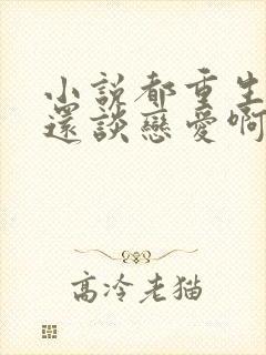 小说都重生了谁还谈恋爱啊,