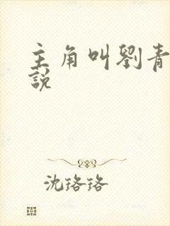 主角叫刘青的小说