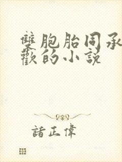 双胞胎同承雨露欢的小说
