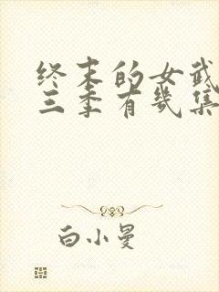 终末的女武神第三季有几集