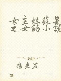 女主姓苏是丞相之女的小说