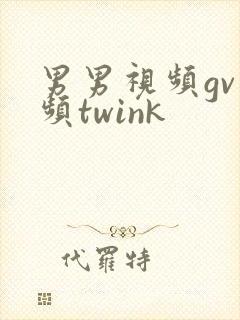 男男视频gv视频twink