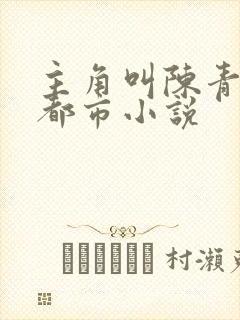 主角叫陈青帝的都市小说