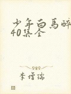 少年白马醉春风40集全封面