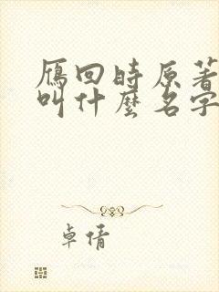 雁回时原著小说叫什么名字