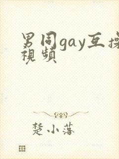 男同gay互操视频