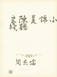 良陈美锦小说在线听