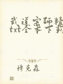 武道宗师精校版txt全本下载