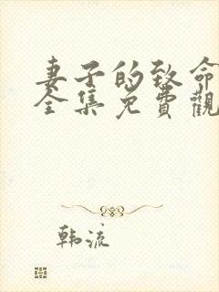 妻子的致命谎言全集免费观看