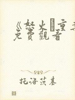 《怒火·重案》免费观看