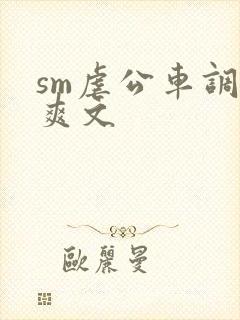 sm虐公车调教爽文