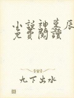 小说神墓辰东的免费阅读封面