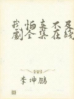 我怕来不及电视剧全集在线观看免费封面