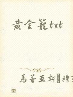 黄金笼txt