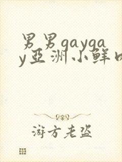 男男gaygay亚洲小鲜肉网站封面