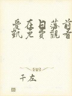爱在日落前王沐凯免费观看