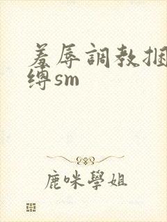 羞辱调教捆绑束缚sm