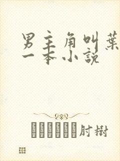 男主角叫叶凡的一本小说