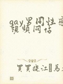 gay男同性恋视频网站封面