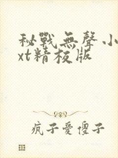 秘战无声小说txt精校版