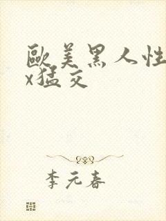 欧美黑人性xxx猛交封面