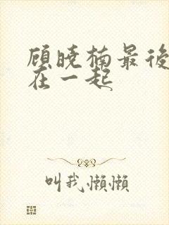 顾晓楠最后和谁在一起