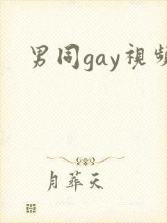 男同gay视频